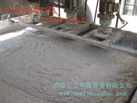 點擊查看詳細信息<br>標題：CAF渦凹氣浮機使用現(xiàn)場 閱讀次數(shù)：15684